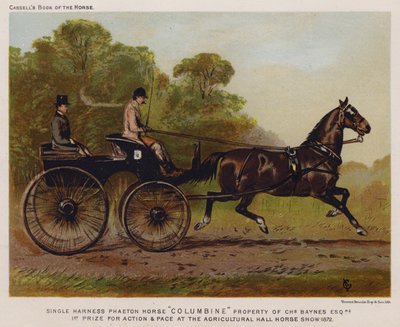 Tek Koşumlu Phaeton Horse "Columbine", Charles Baynes Esq