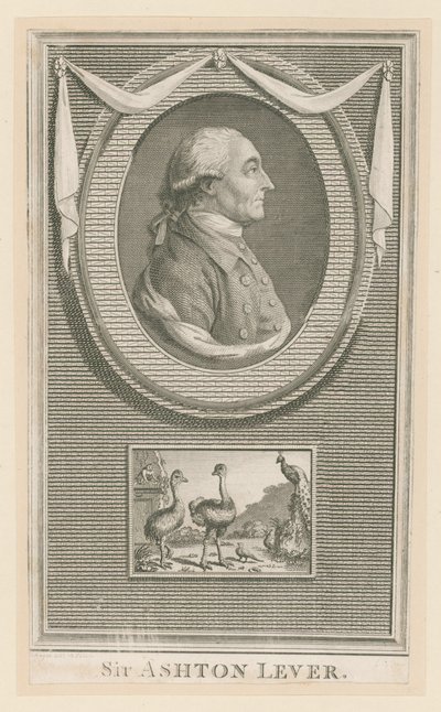 Sör Ashton Kol by English School