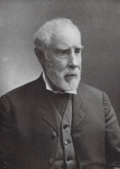 Sir George Grey (b/w fotoğraf) by English School