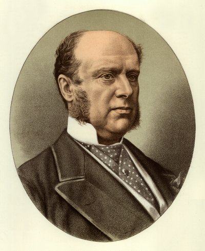 Sir Herkül Robinson by English School