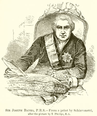Sir Joseph Banks, P.R.S. by English School