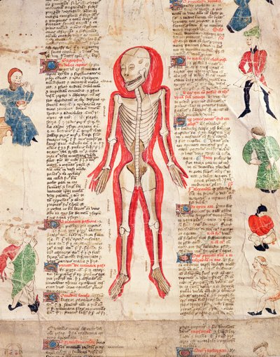 John Ardene tarafından De arte phisicali e de cirugia