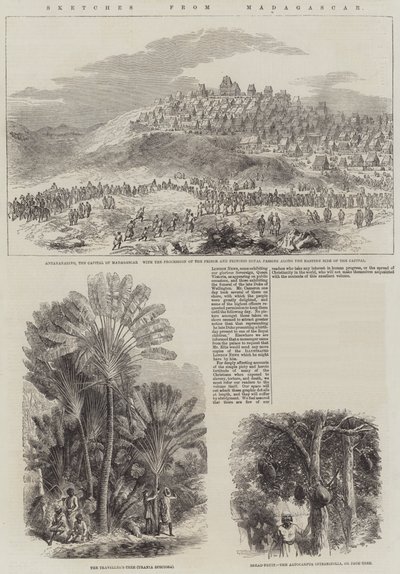 Madagaskar