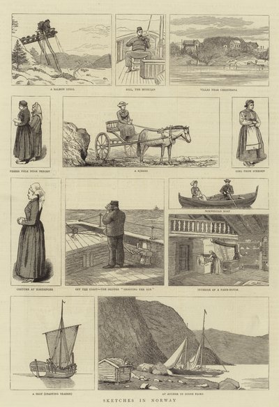 Norveç