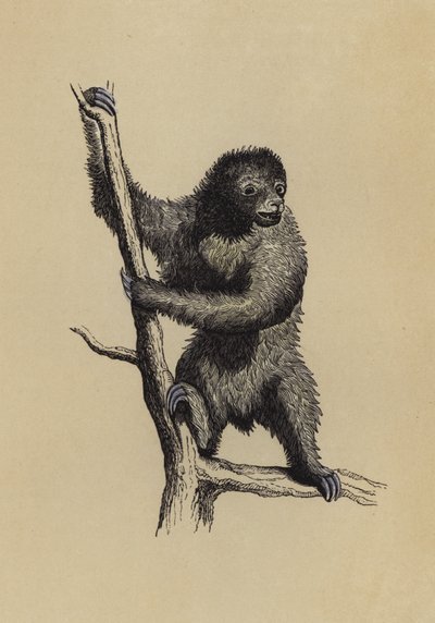 Tembellik (renkli taş) by English School