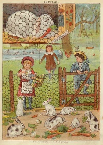 Kartopu (kromolitho) by English School