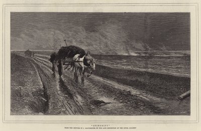 Spindrift (gravür) by English School
