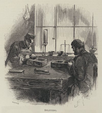 bölme by English School
