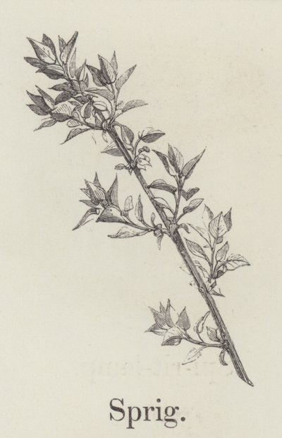 Dal (gravür) by English School