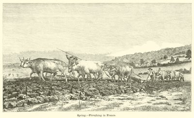 Bahar, Fransa