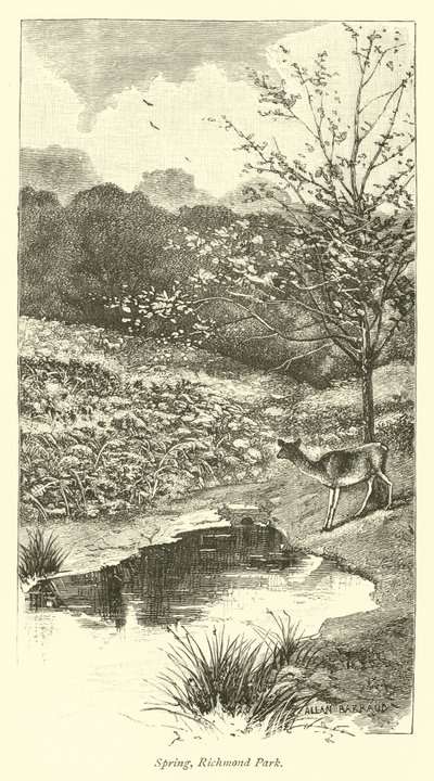 Bahar, Richmond Parkı by English School