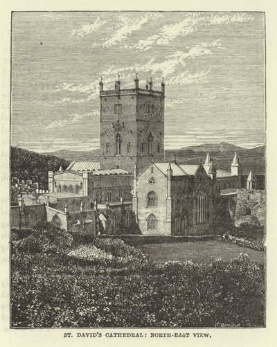 St Davids Katedrali, Kuzey-Doğu Görünümü by English School