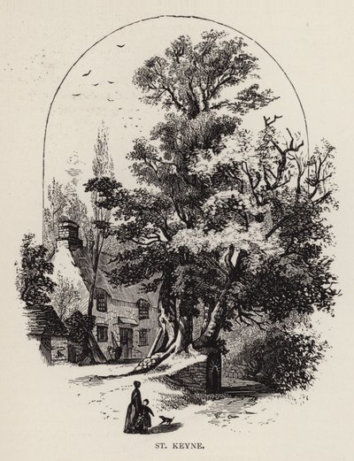 Aziz Keyne (gravür) by English School