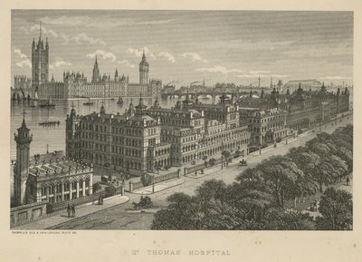 St Thomas Hastanesi, Londra by English School