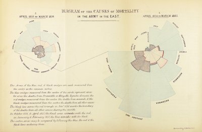 Florence Nightingale tarafından, Nisan 1854 - Mart 1855 ve Nisan 1855 - Ma, Kırım Savaşı sırasında İngiliz ordusunda bir ölüm nedeni olarak hastalığın baskınlığını göstermek için icat edilen istatistiksel tablo by English School