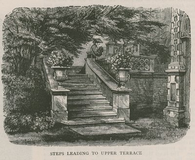 Üst terasa çıkan merdivenler, Holland House by English School