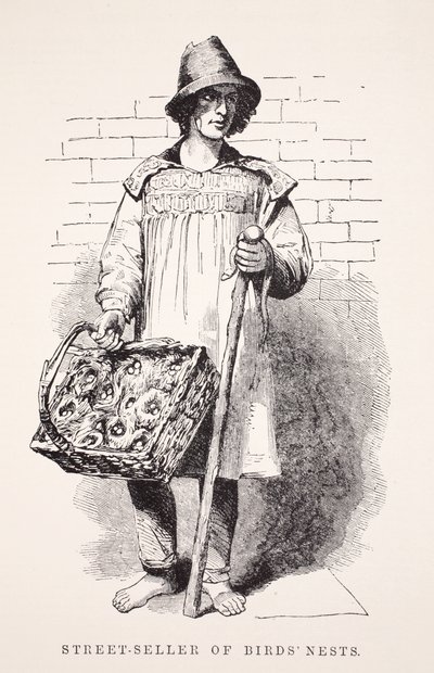 Sokak satıcısı kuş yuvaları, Henry Mayhew tarafından London Labor ve London Poor