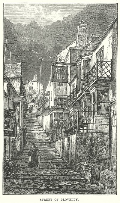 Clovelly Sokağı (gravür) by English School