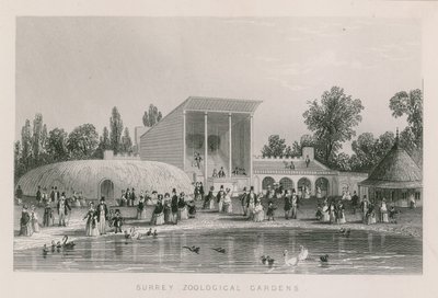 Surrey Hayvanat Bahçeleri by English School