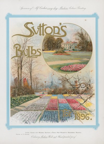 1896 için Suttons Ampuller by English School