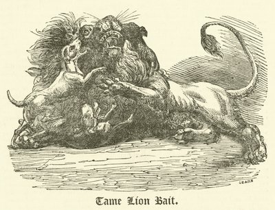 Sen Leon Yemi (Gravür) by English School