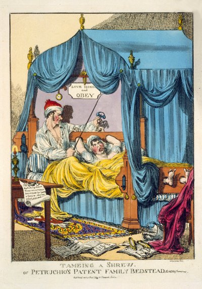 Bir Shrew veya Petruchio