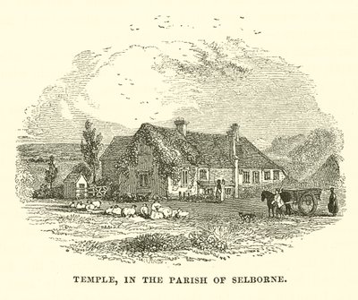 Temple, Selborne Bölgesinde (gravür) by English School