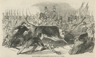 Londra Şehri Boyunca Yürüyen 3. Alay (Buffs) by English School