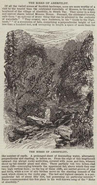 Aberfeldy Kuşları (gravür) by English School