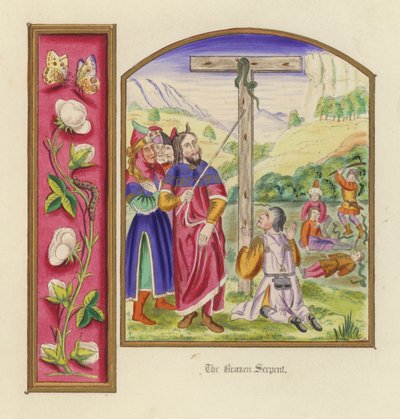 Yüzsüz Yılan (renkli taş) by English School