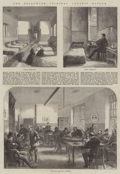 Broadmoor Suçlu Deli İltica (gravür) by English School