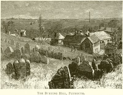 Gömme Tepesi, Plymouth by English School