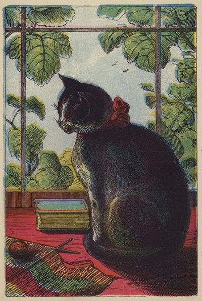 Kedi (renkli lito) by English School