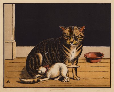 Kedi (renkli lito) by English School