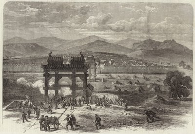 Çin