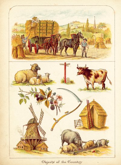 Ülke by English School