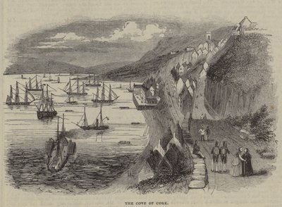 Cork Koyu, İrlanda by English School