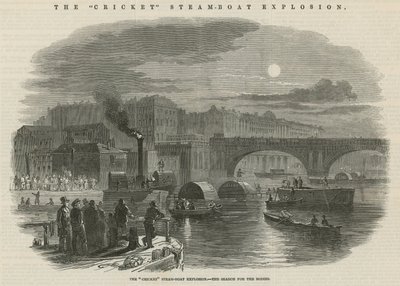 Cricket vapur patlaması by English School