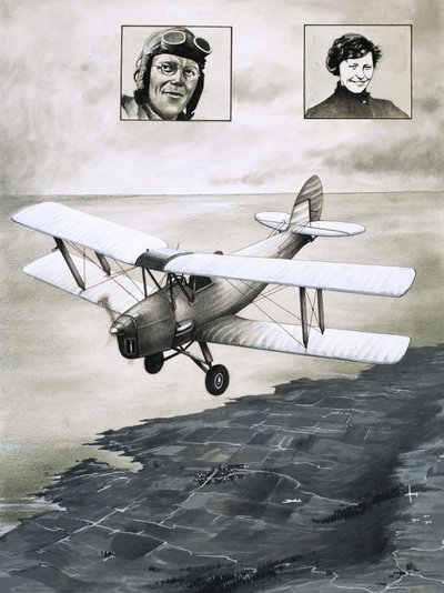 De Havilland Güvesi by English School