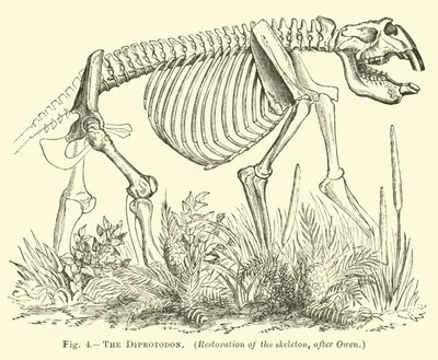 Diprotodon by English School