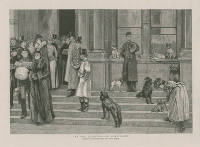 Köpek Sorusu - Giriş yok by English School