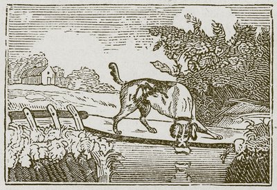 Köpek ve Gölge (gravür) by English School