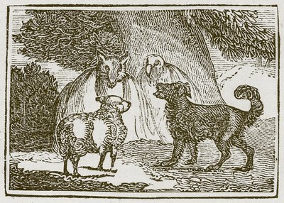 Köpek ve Koyun (gravür) by English School