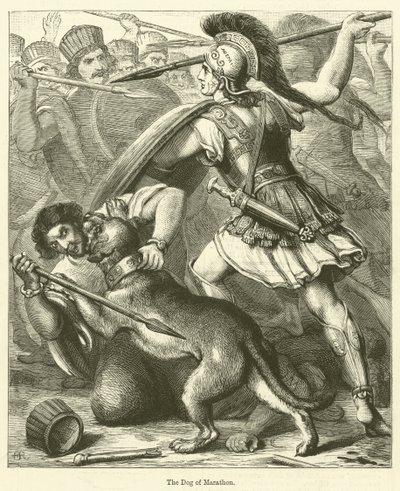 Maraton Köpeği (gravür) by English School