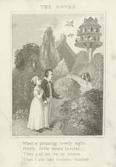 güvercinler by English School