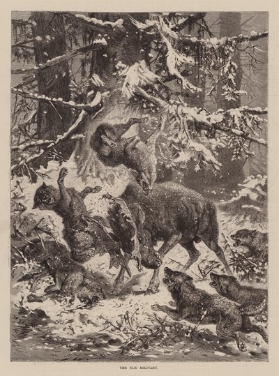 The Elk Militant (gravür) by English School