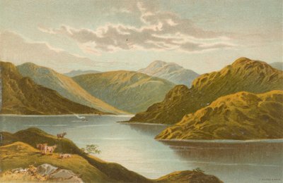 Loch Goil
