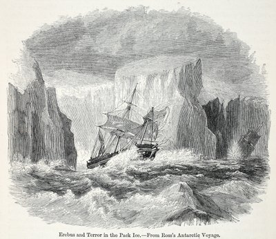 Erebus ve Buzdağları Arasındaki Terör by English School