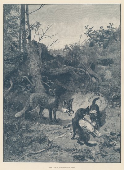 Noel Kazımızın Kaderi (gravür) by English School