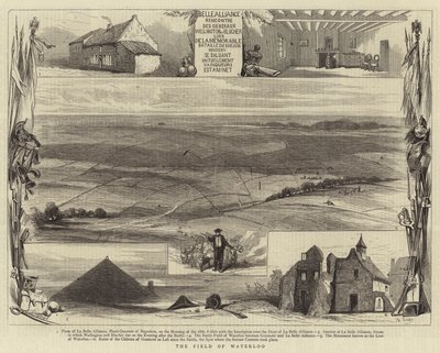 Waterloo Tarlası (gravür) by English School